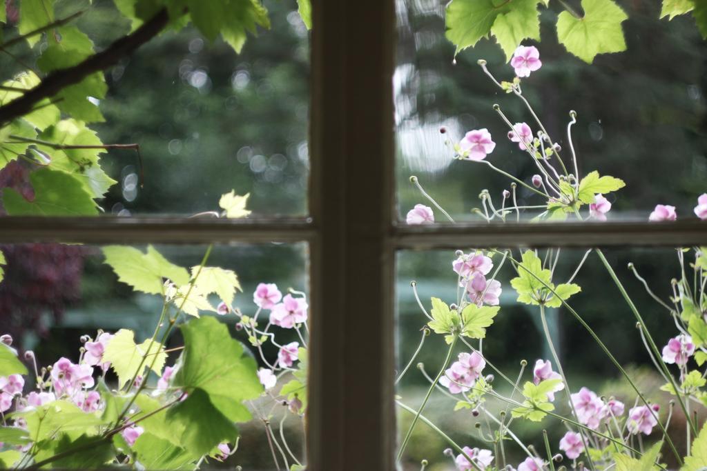 The Dower House Hotel Muir of Ord Bilik gambar