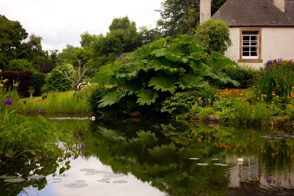 The Dower House Hotel Muir of Ord Bilik gambar